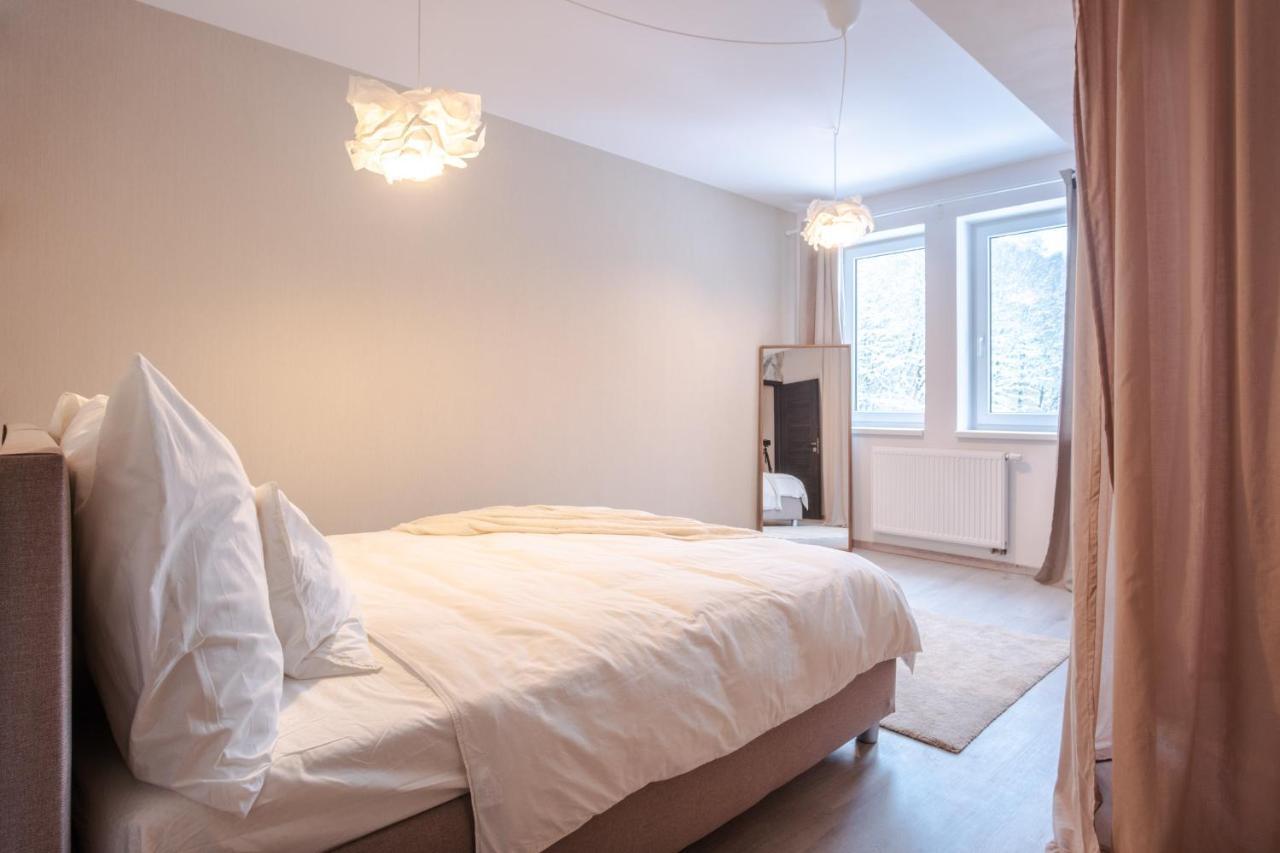 Boutique Apartment 23 - Rezidence K Lanovce Яхимов Екстериор снимка